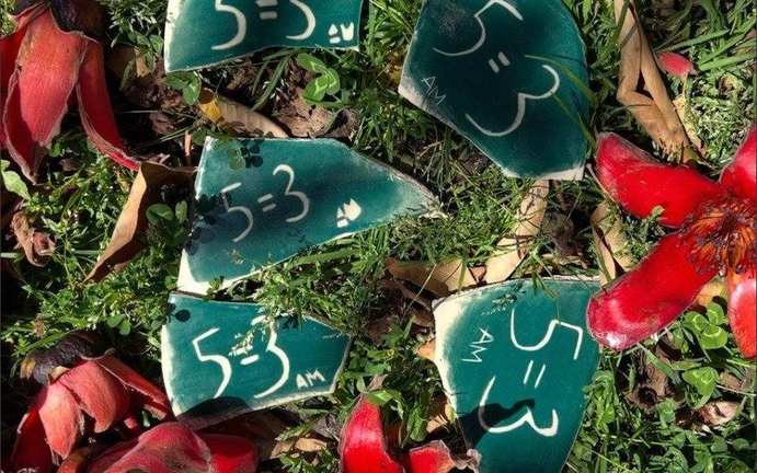 Five broken ceramic 5=3 plaque pieces resting among red flowers and grass